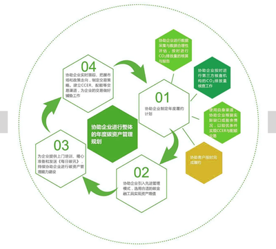 碳资产管理的定义及筹建碳资产管理公司的策略